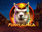 Funny Alpaca