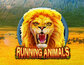 Running Animals