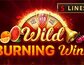Wild Burning Wins 5 lines