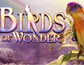 Birds of Wonder