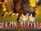 Blazin Buffalo