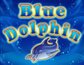Blue Dolphin