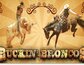 Buckin Broncos