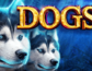 Dogs