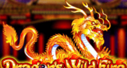 Dragons Wild Fire