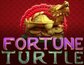 Fortune Turtle