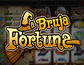 La Bruja Fortuna