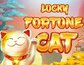 Lucky Fortune Cat