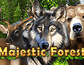 Majestic Forest