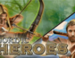 Nordic Heroes