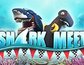 Shark Meet