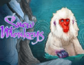 Snow Monkeys