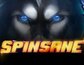 Spinsane