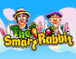 The Smart Rabbit