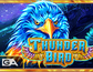 Thunder Bird