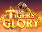 Tigers Glory