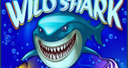 Wild Shark