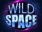 Wild Space
