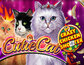 Cutie Cat Crazy Chicken Shooter