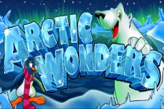 Онлайн слот Arctic Wonders