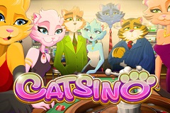 Онлайн слот Catsino