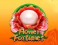 Flower Fortunes