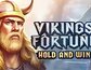Vikings Fortune Hold and Win