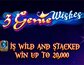 3 Genie Wishes