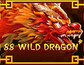 88 Wild Dragon