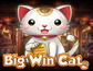 Big Win Cat