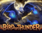 Bird of Thunder