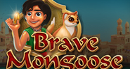 Brave Mongoose