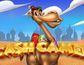 Cash Camel