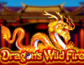 Dragons Wild Fire
