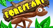 Forest Ant