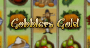 Gobblers Gold