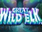 Great Wild Elk
