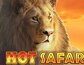 Hot Safari
