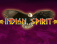 Indian Spirit
