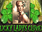 Lucky Ladys Clover
