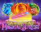 Magical Forest