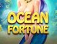 Ocean Fortune