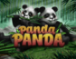 Panda Panda