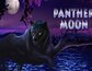 Panther Moon