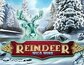 Reindeer Wild Wins