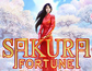 Sakura Fortune