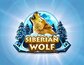 Siberian Wolf