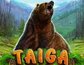 Taiga