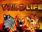 The Wild Life