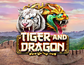 Tiger and Dragon
